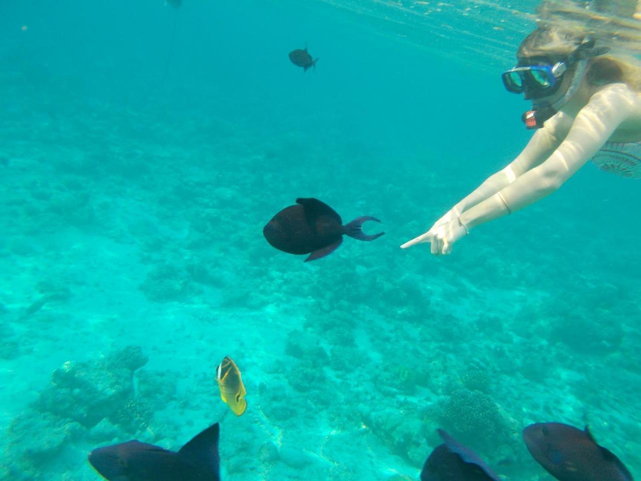 Nala Veli Beach & Spa Ukulhas Buitenkant foto